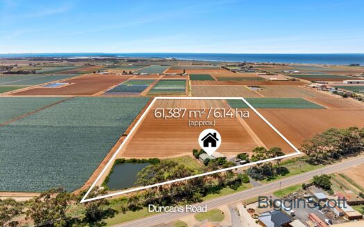 15 acres – 197 metres frontage to Duncans Road.